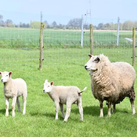 Near Marina Διαμέρισμα Nieuwpoort