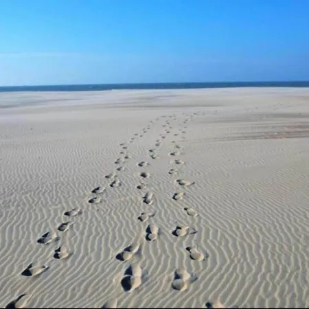 Апартаменты Near Marina