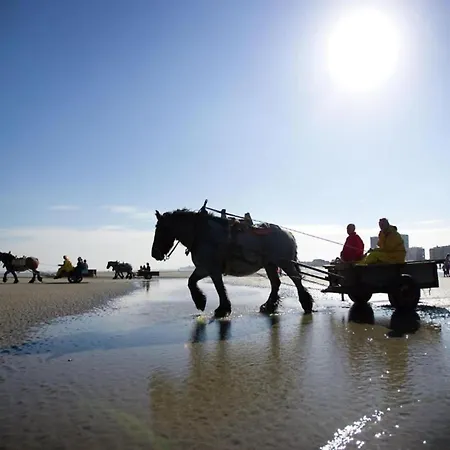 Near Marina Апартаменты Ньивпорт