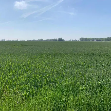 Near Marina Nieuwpoort