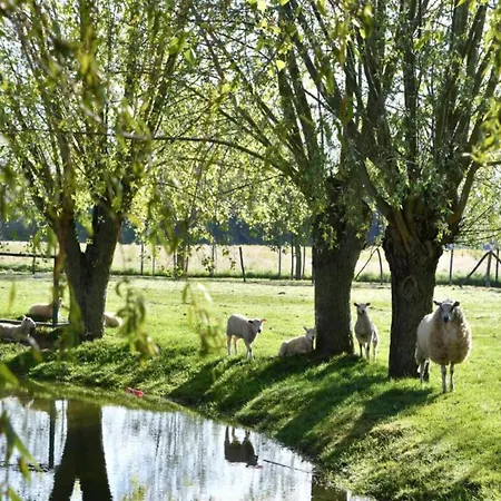Διαμέρισμα Near Marina Nieuwpoort