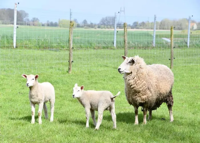 Near Marina דירה ניופורט