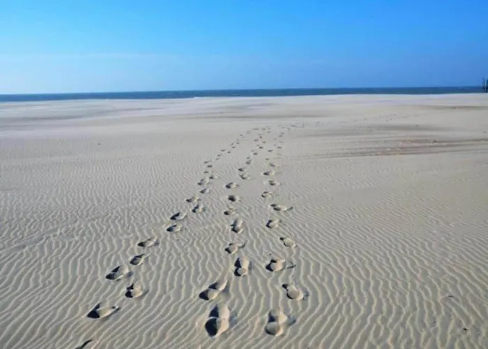 דירה Near Marina