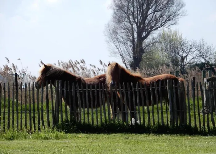 Near Marina ניופורט